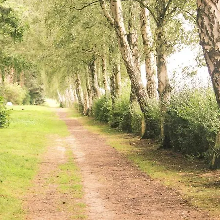 Ostseewellen Ii Haushaelfte