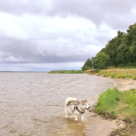 Ostseewellen Ii Haushaelfte Tatil Evi *