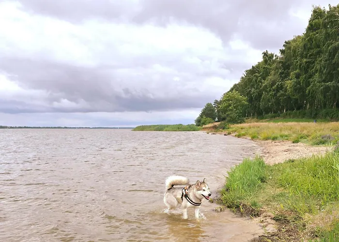 Ostseewellen Ii Haushaelfte Дом отдыха *